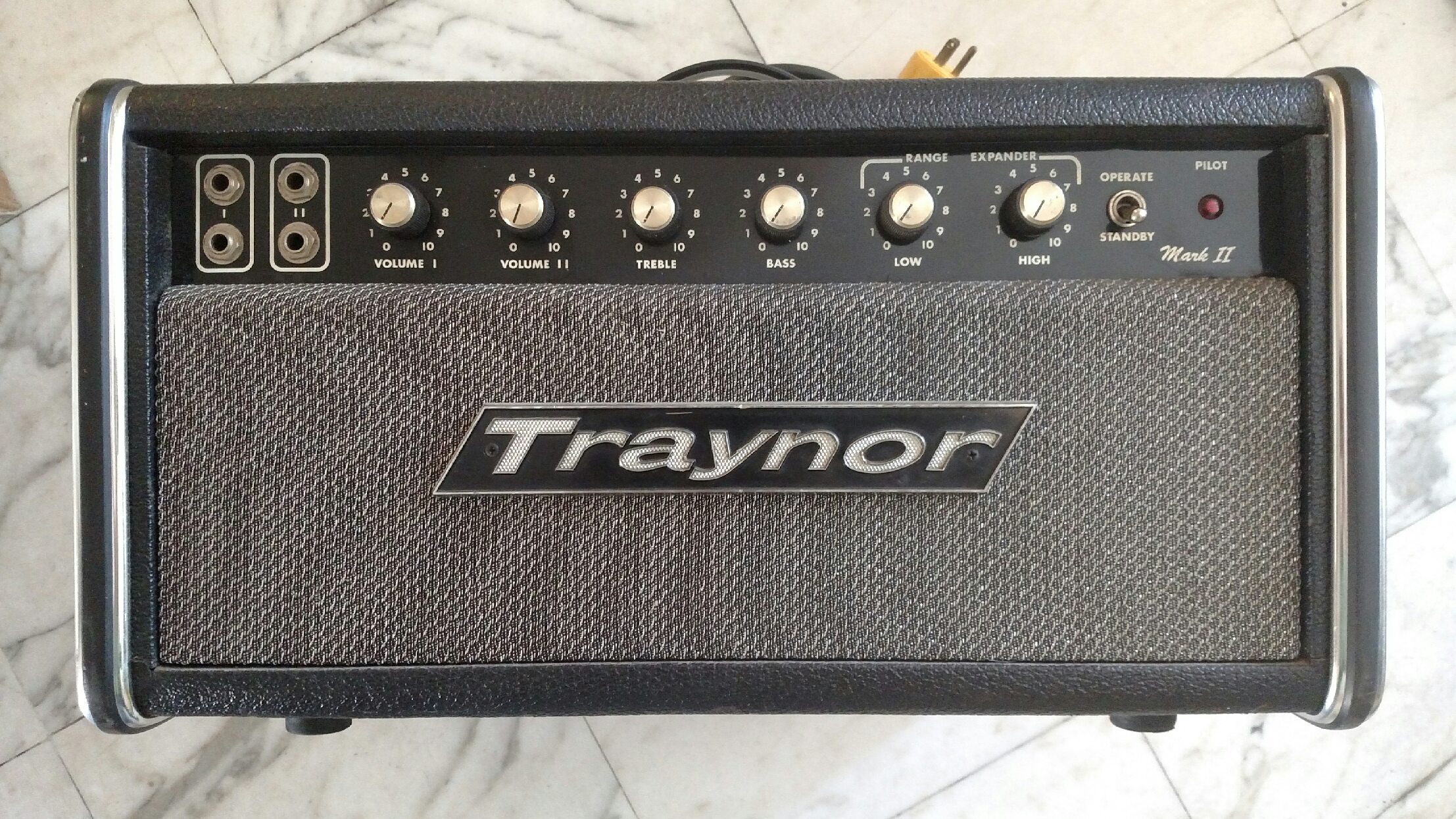 Thermionic Studios taking receipt of 1971 Traynor YBA-1 Image 2 Thermionic Studios taking receipt of 1971 Traynor YBA-1 Image 2